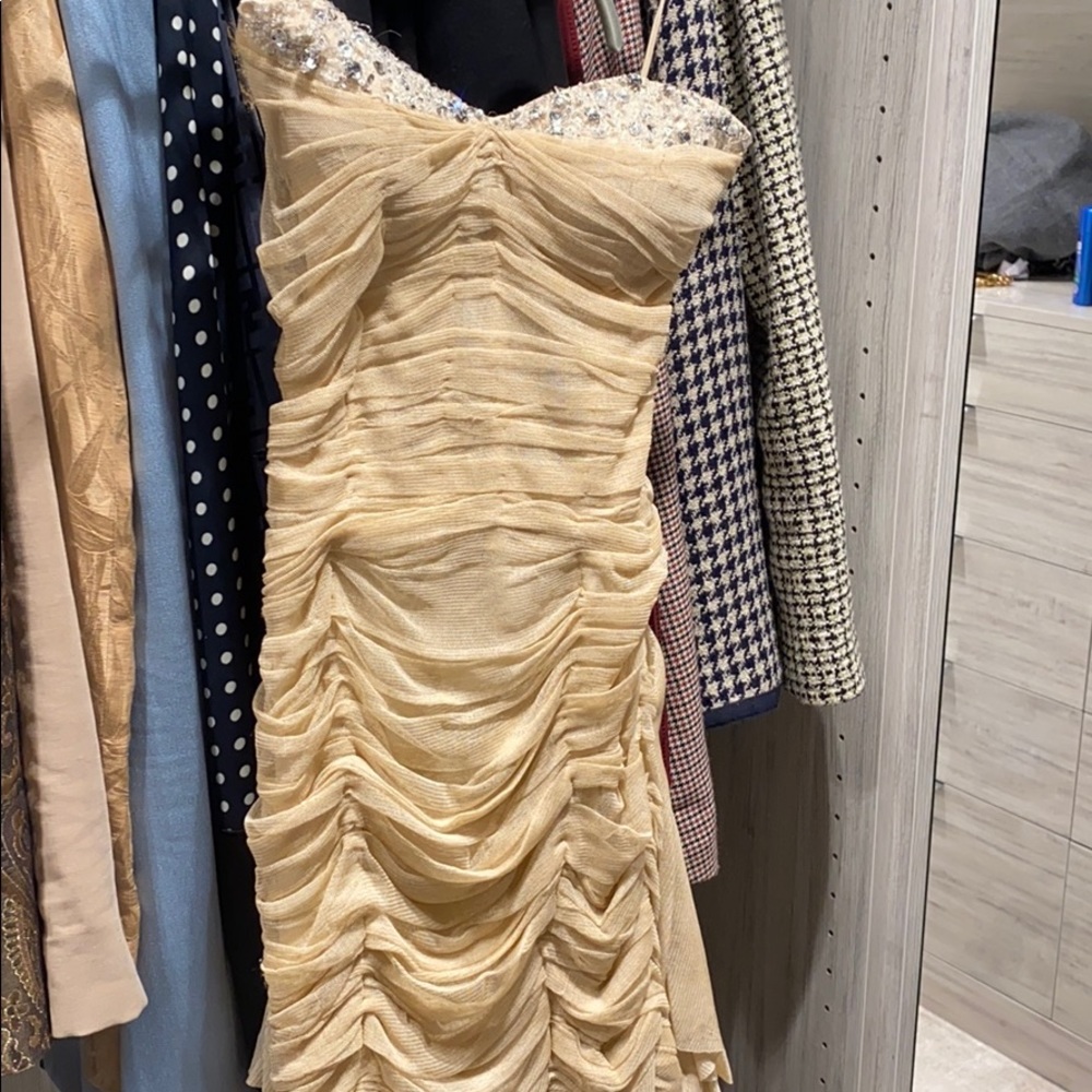 Pamela denis gorgeous gown